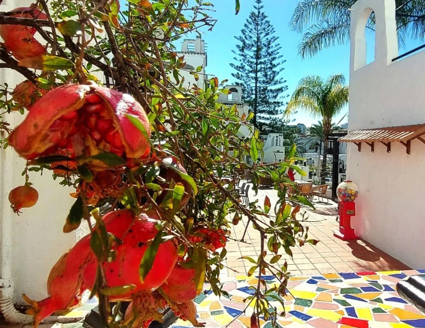 Estudio Pasodoble. Pueblo Evita Benalmadena